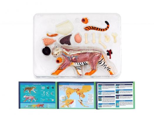 Конструирай модел на тигър Thames & Kosmos