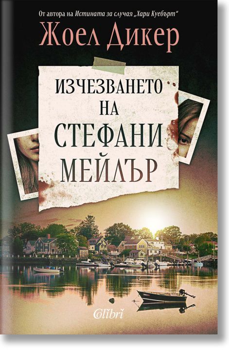 Изчезването на Стефани Мейлър