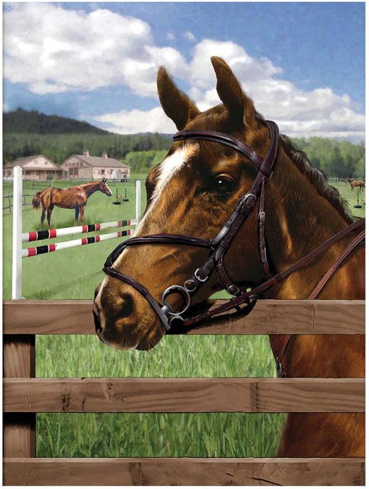 Комплект за лесно рисуване с акрилни бои Royal & Langnickel - Конче, 24 х 33 см.