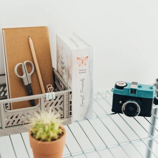 Албум за снимки Grupo Erik - Forest Friends