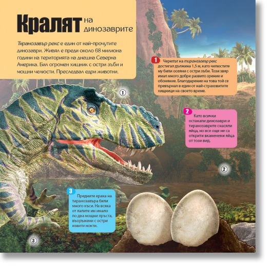 Панорамна книга с капачета: Динозаври