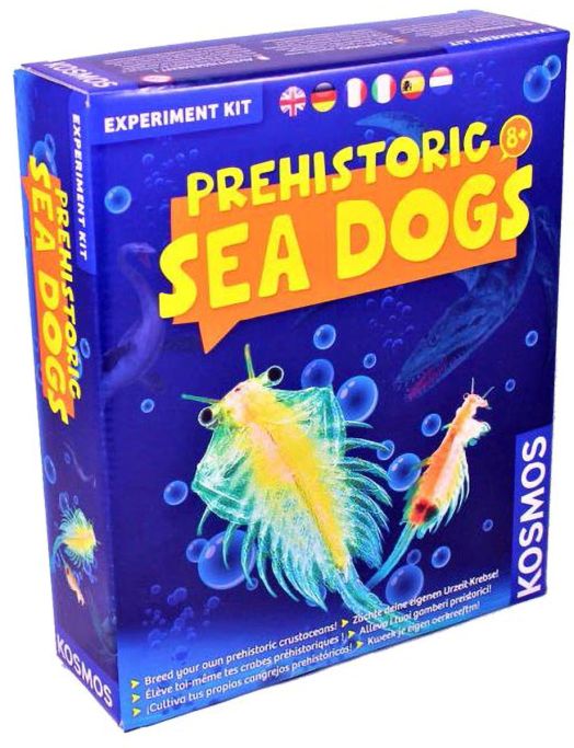 Творчески комплект Kosmos: Морски кучета