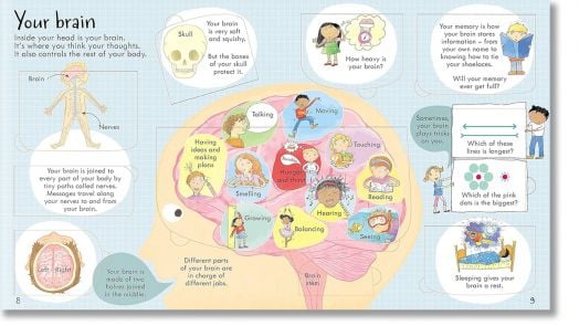 Look Inside Your Body