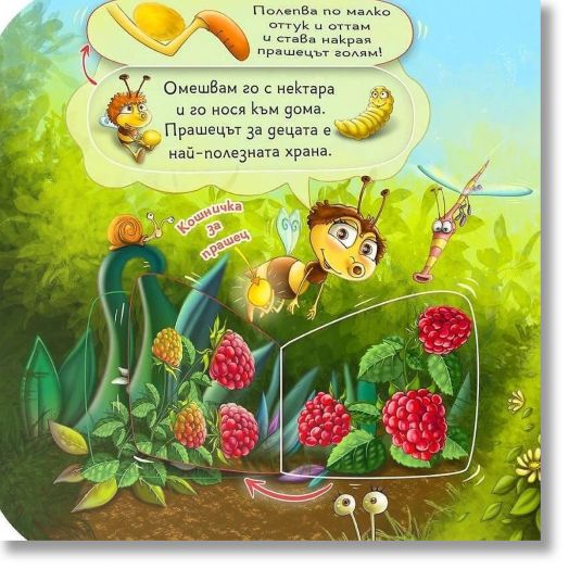 Как пчелата опрашва цветята?