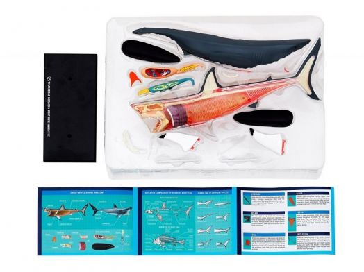 Конструирай модел на голяма бяла акула Thames & Kosmos