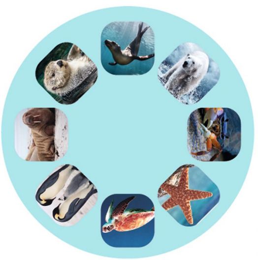 Малък проектор Moses - Морски обитатели