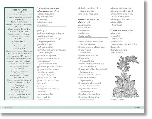 Plant Names Explained