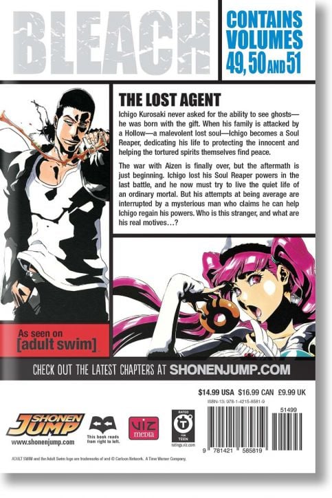 Bleach (3-in-1 Edition), Vol. 17