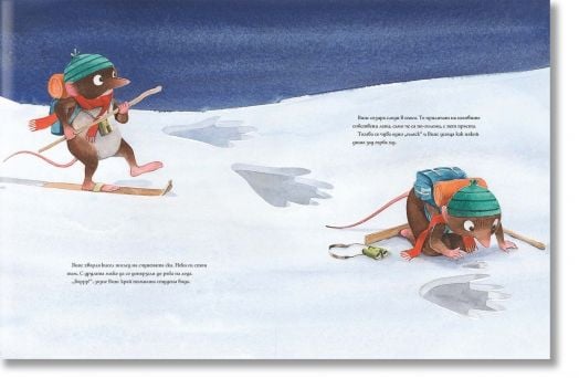 Випс на леда