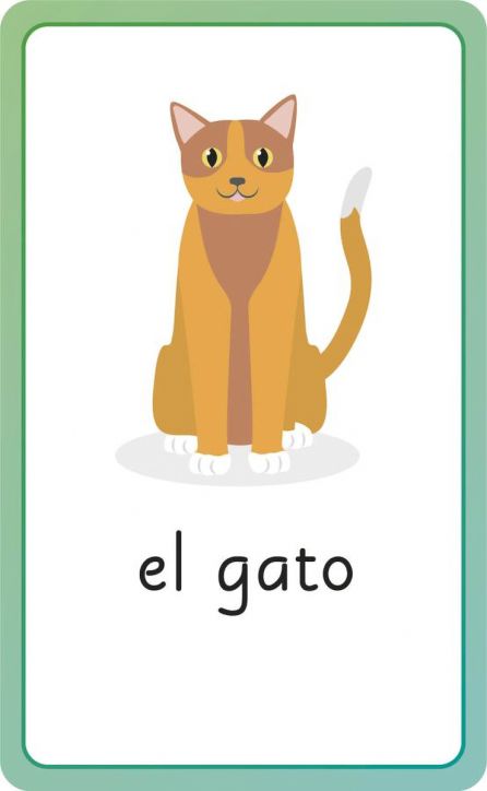 Spanish for Everyone Junior First Words Flash Card