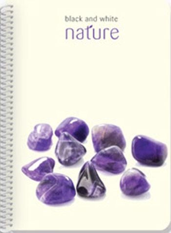 Тетрадка Black & White Nature A4 със спирала и 4 теми, 200 листа - широки редове
