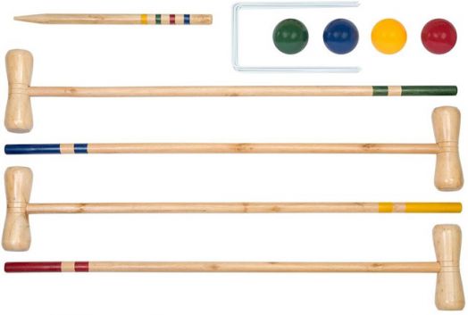 Игра Professor Puzzle: Крокет