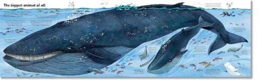 Big Book of Big Animals