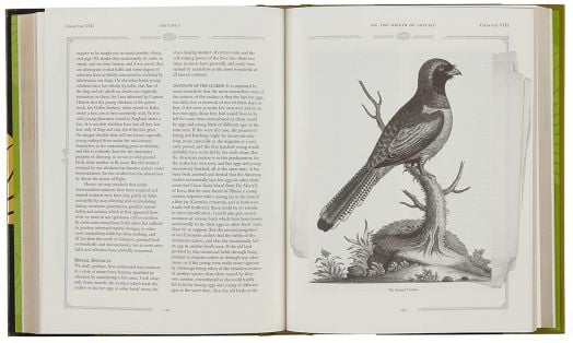 On the Origin of Species (Arcturus Gilded Classics)