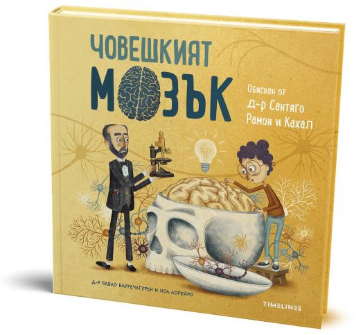 Човешкият мозък