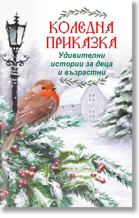 Коледна приказка - Удивителни истории за деца и възрастни