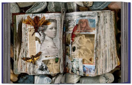 Peter Beard