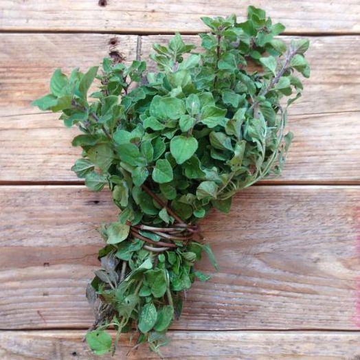 Семена за френски сушени билки Piccolo, 3 вида