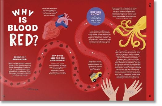 Can You Get Rainbows in Space? : A Colourful Compendium of Space and Science