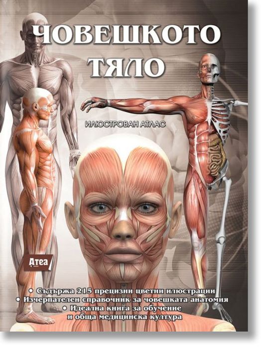 Човешкото тяло, илюстрован атлас