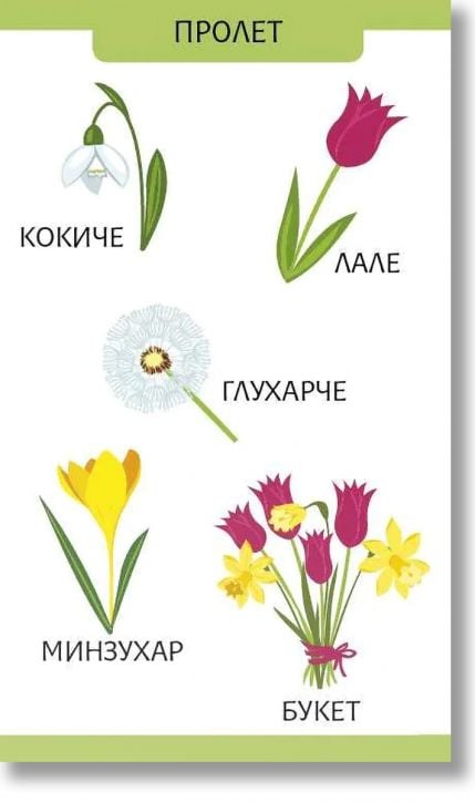 Моите първи 100 думи за сезоните