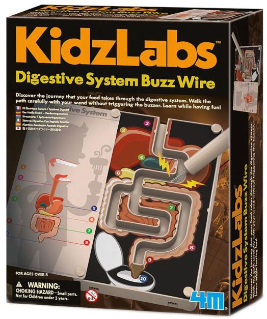 Детска лаборатория 4M - Храносмилателна система чрез звънчева инсталация