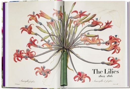 Redoute: The Book of Flowers, 40th Edition