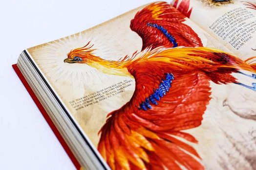 Harry Potter and the Chamber of Secrets, Deluxe edition