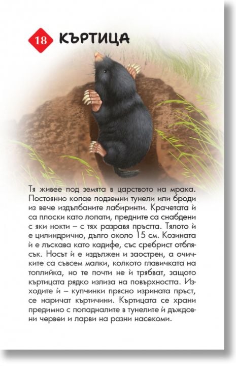 Образователни карти: 100 животни от България