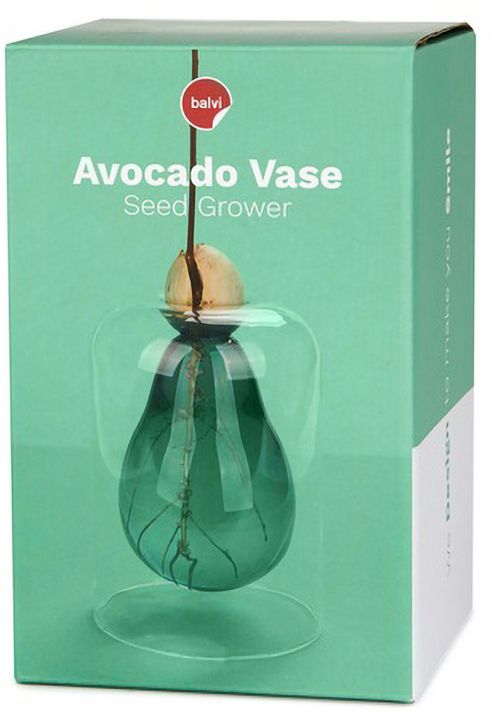 Отглеждане на семена Balvi - Авокадо