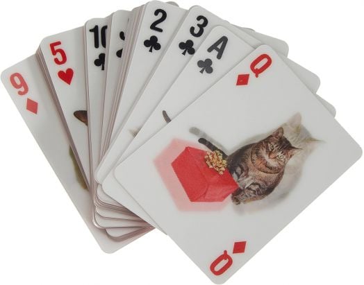 Карти за игра с 3D ефект Kikkerland - Котки