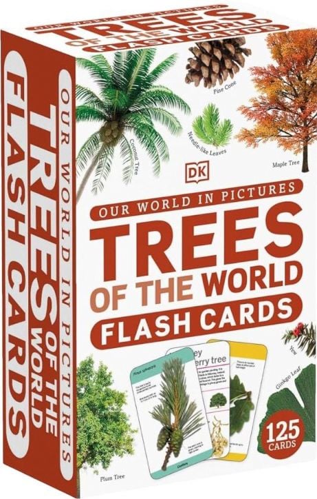 Our World in Pictures: Trees Flash Cards