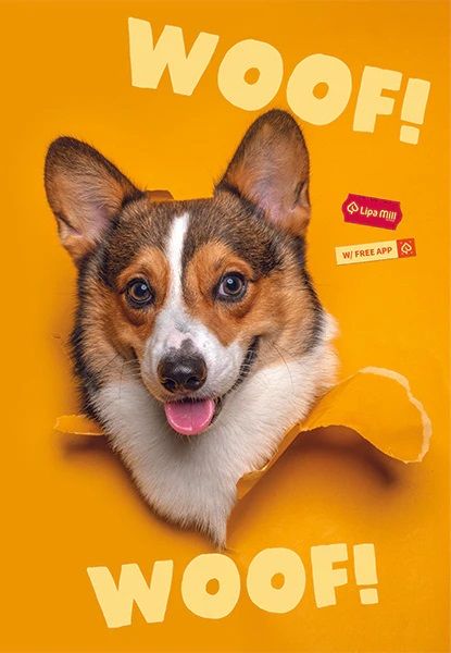 Тетрадка Mar Mar Woof A4, 40 листа с широки редове