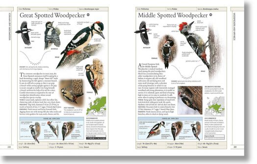 Complete Birds of Britain and Europe