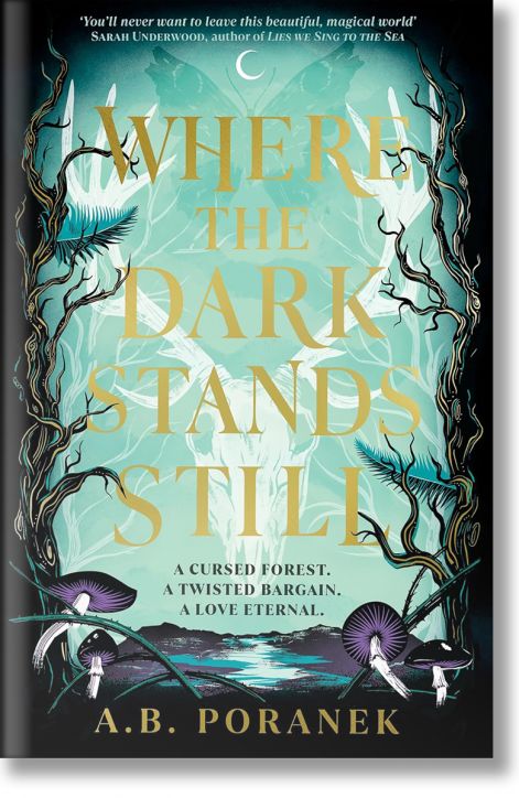 Where the Dark Stands Still