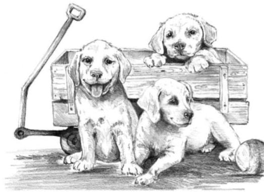 Комплект за лесно рисуване с моливи Royal & Langnickel - Кученца в количка, графика с размер 39 х 29 см.