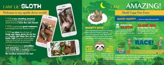 Пъзел Madd Capp: Левинец, 100 части