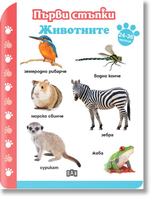 Първи стъпки: Животните 24-36 месеца