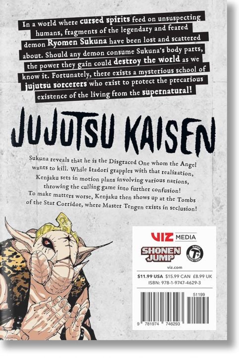 Jujutsu Kaisen, Vol. 23