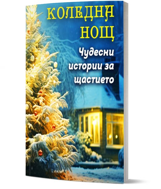Коледна нощ. Чудесни истории за щастието