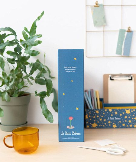 Органайзер за бюро The Little Prince