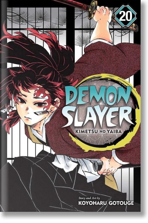 Demon Slayer Kimetsu no Yaiba, Vol. 20
