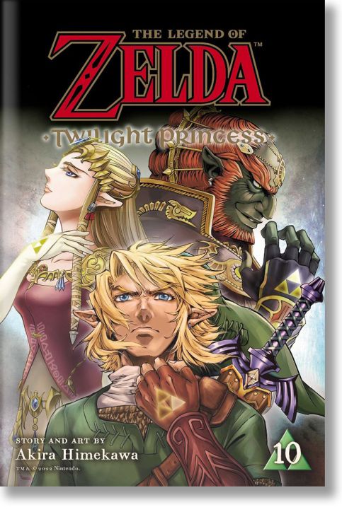 The Legend of Zelda: Twilight Princess, Vol. 10