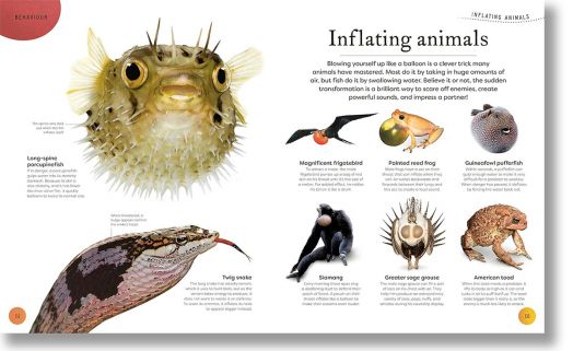 Weird and Wonderful Nature