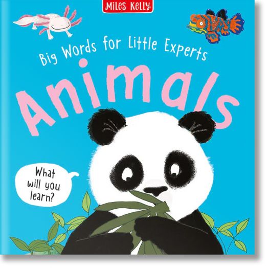 Big Words for Little Experts: 4-pack