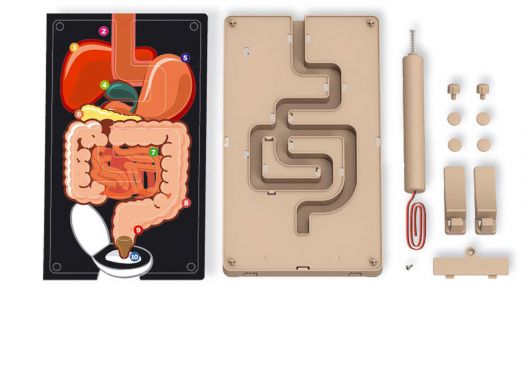 Детска лаборатория 4M - Храносмилателна система чрез звънчева инсталация