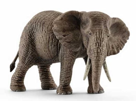 Фигурка Schleich: Африкански слон, женски ходещ