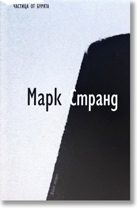 Частица от бурята