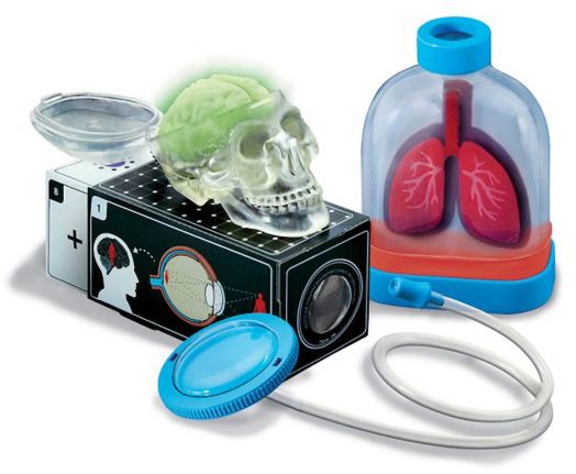 Детска лаборатория 4M - Човешките органи