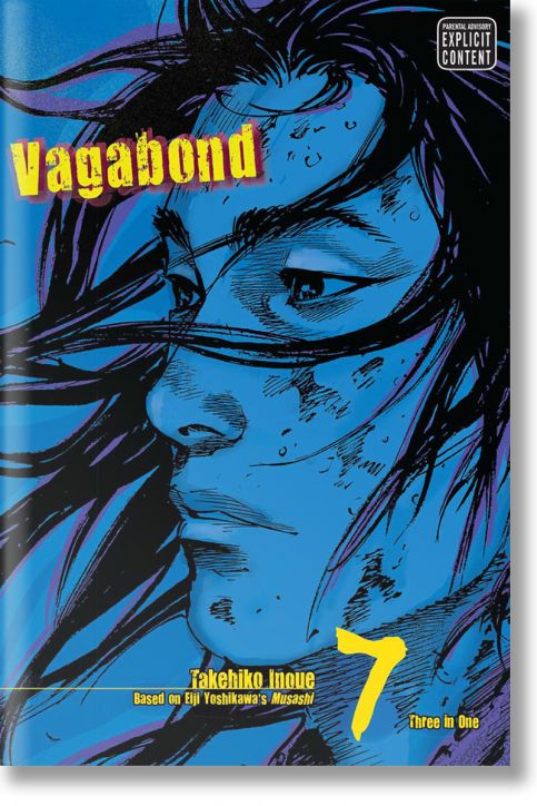 Vagabond, Vol. 7
